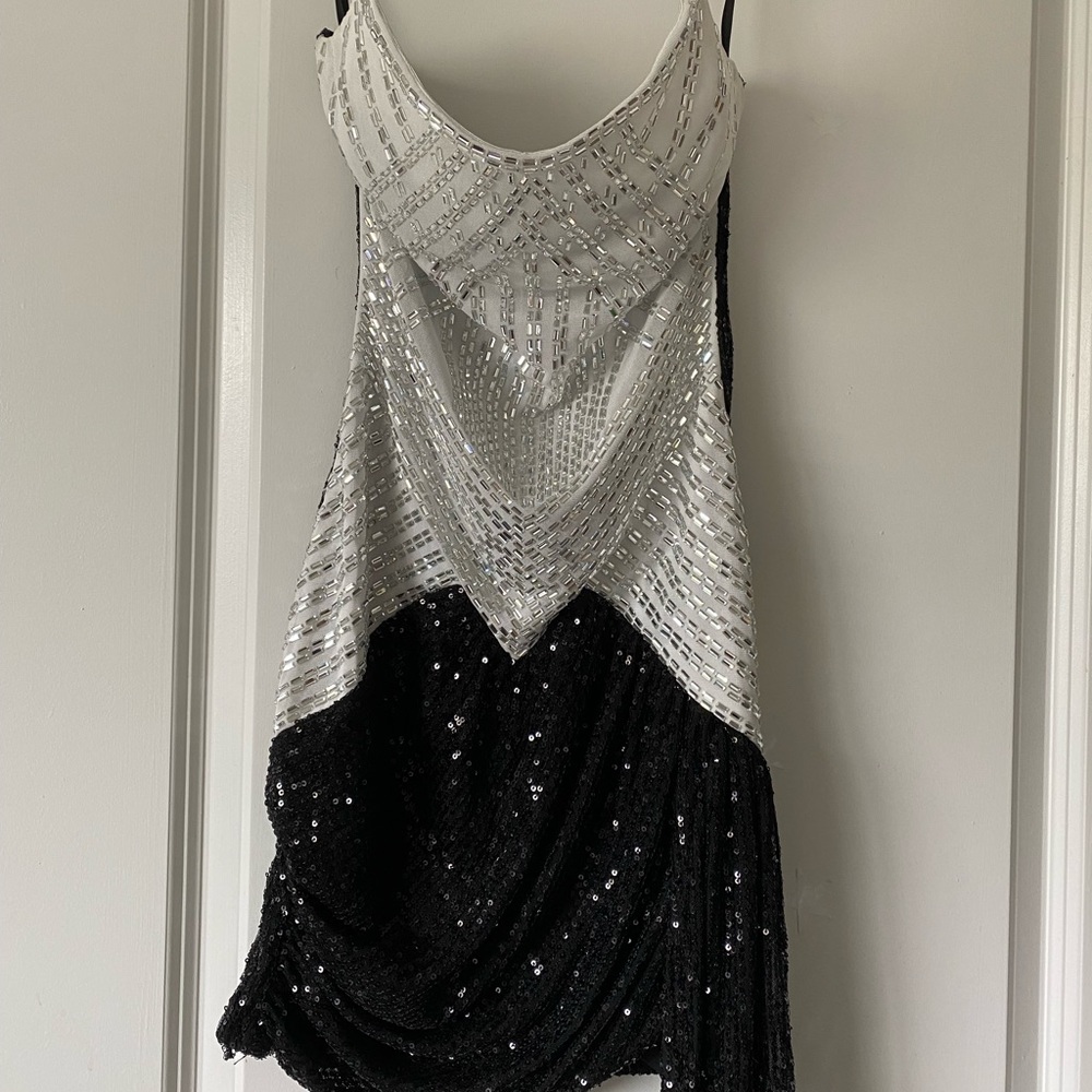 Shimmer Dress - Picture 5 of 8